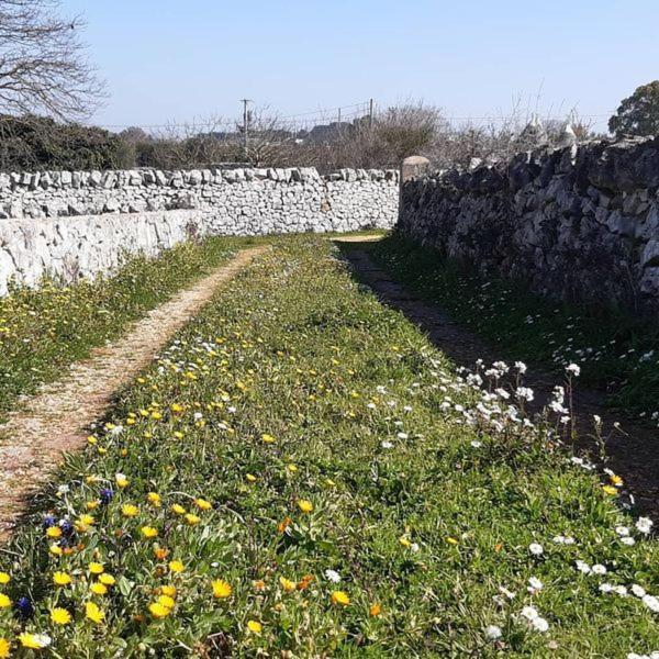 B&B Trulli Sotto La Cupa Martina Franca Ngoại thất bức ảnh
